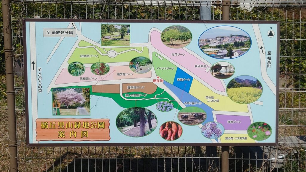 橘丘里山緑地公園/愛知県蒲郡市