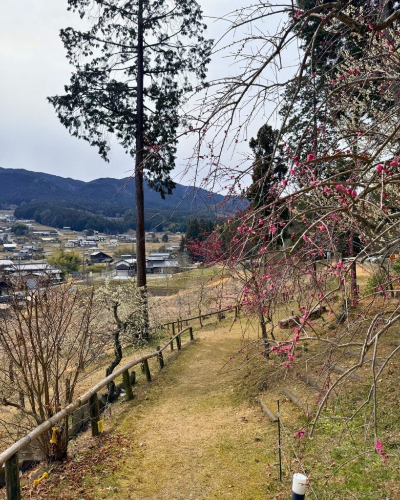 梅露庵公園