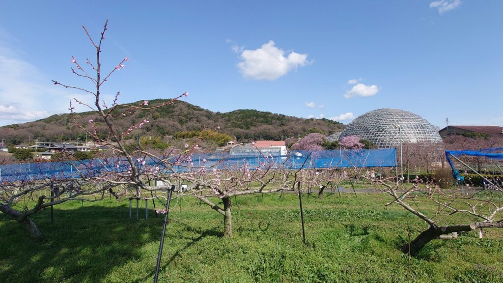 東谷山フルーツパーク/愛知県名古屋市