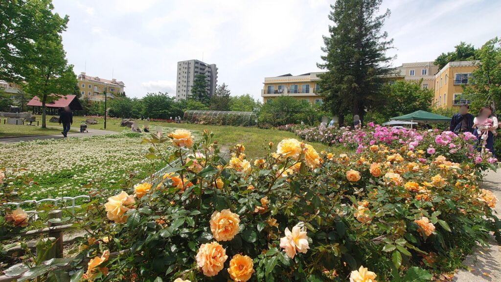 ミササガパーク/愛知県刈谷市