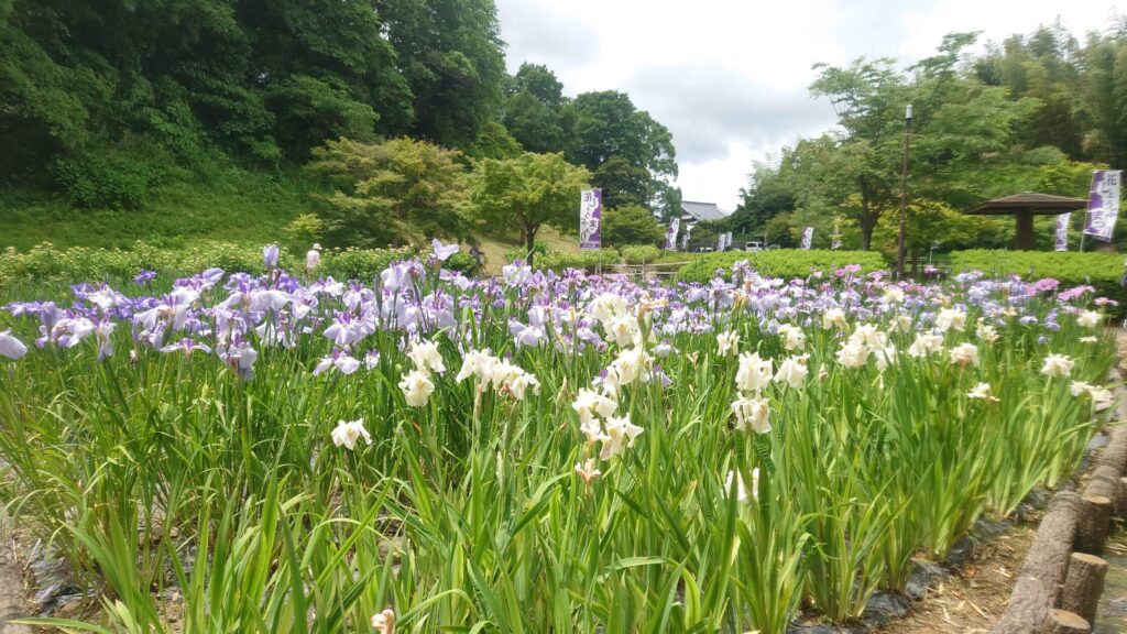 亀山公園/三重県亀山市