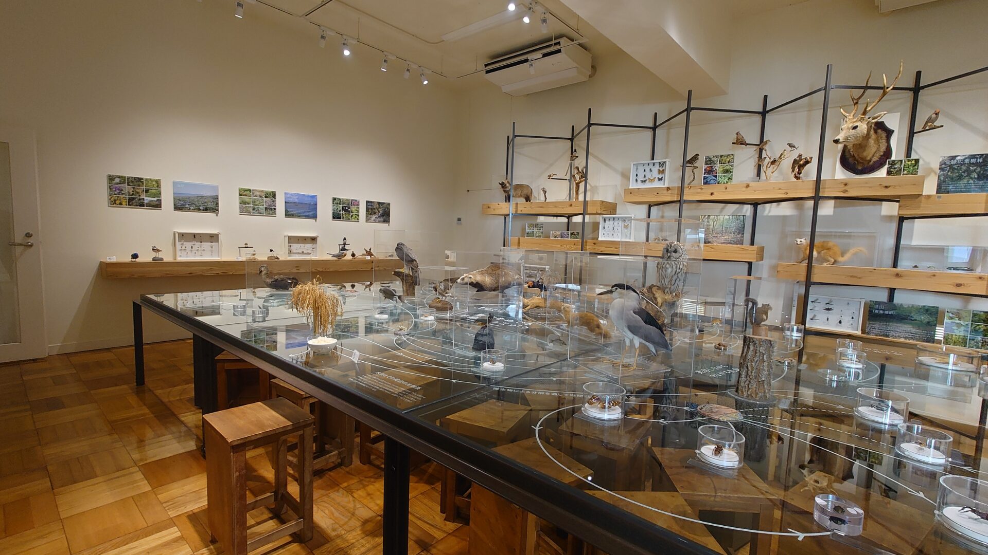 ふじのくに地球環境史ミュージアム/静岡県静岡市