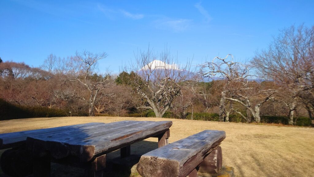 岩本山公園/静岡県富士市