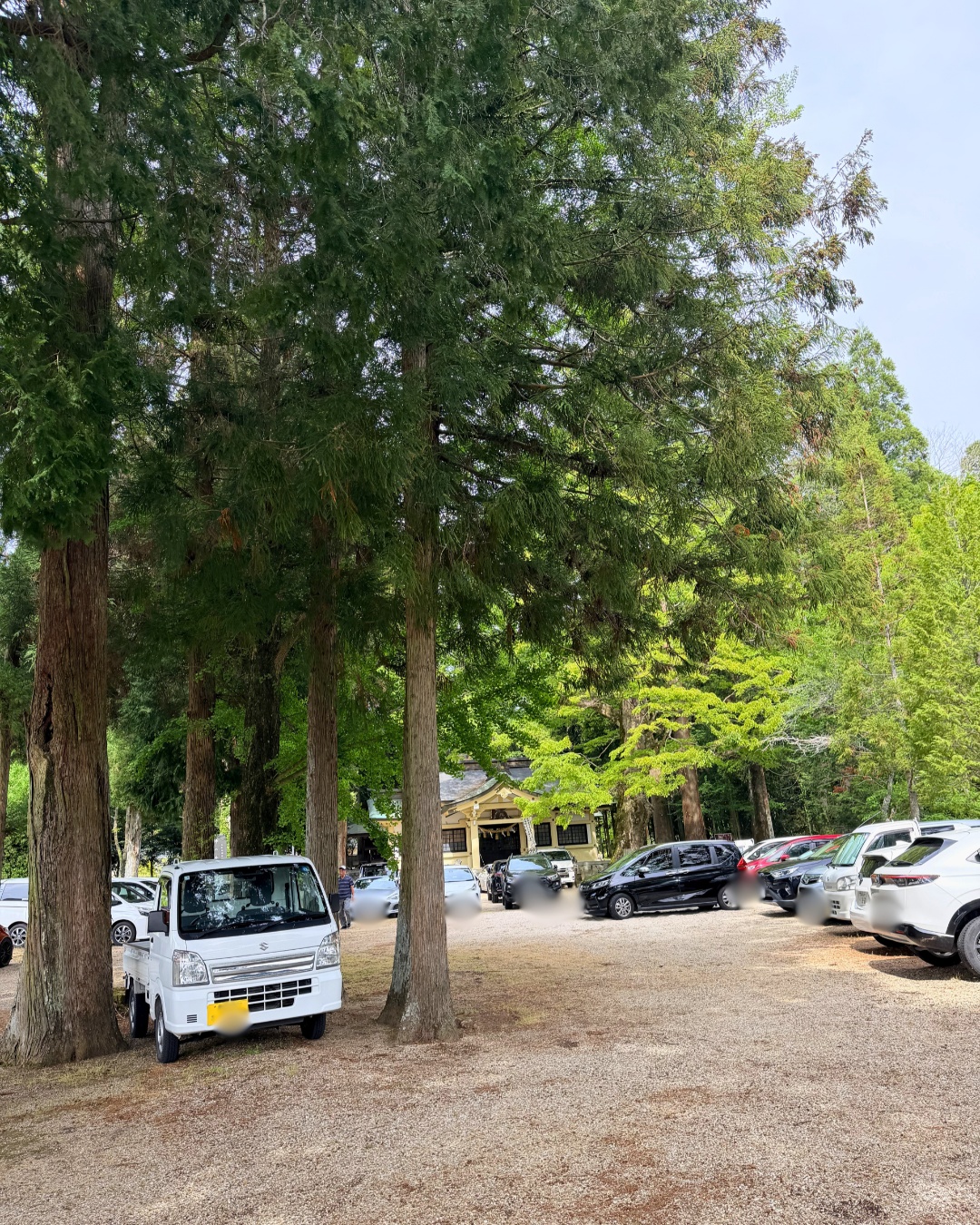 藤の回廊(豊田市)八柱神社境内