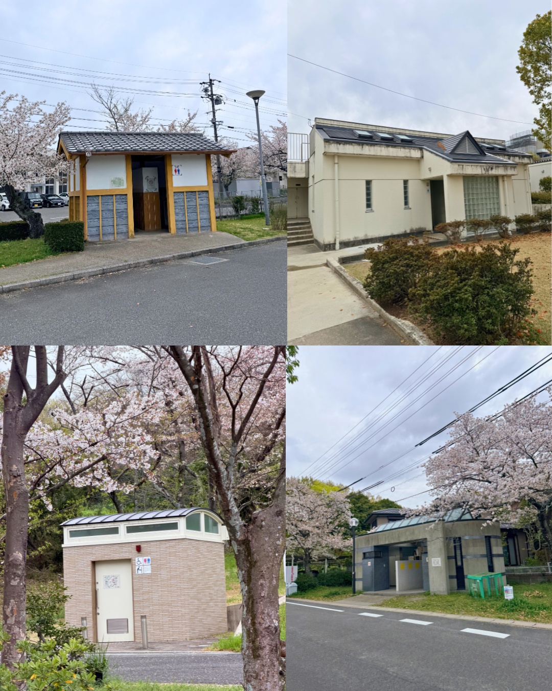 三好公園（みよし市）公園内の池の飛び石