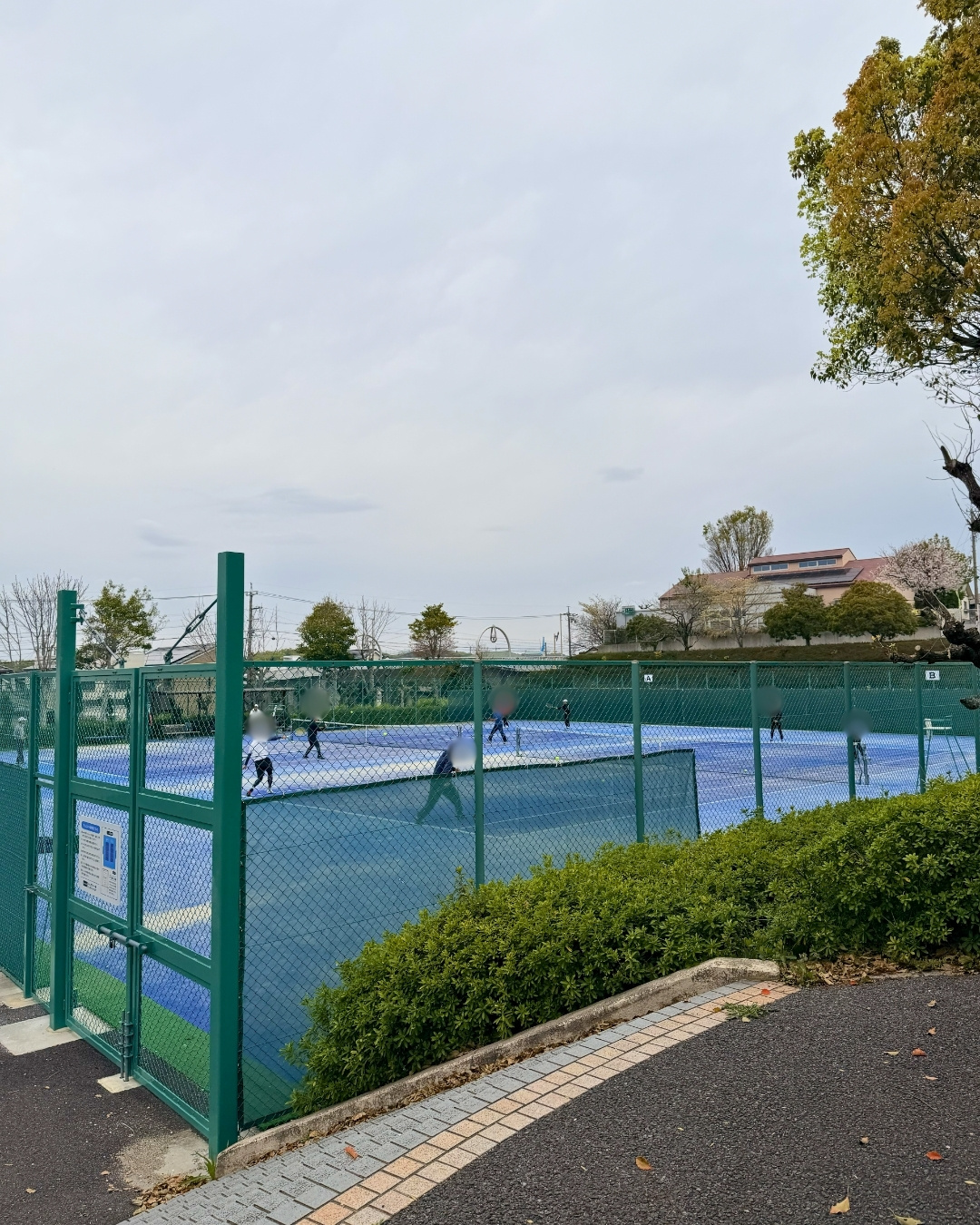 テニスコートと桜の風景