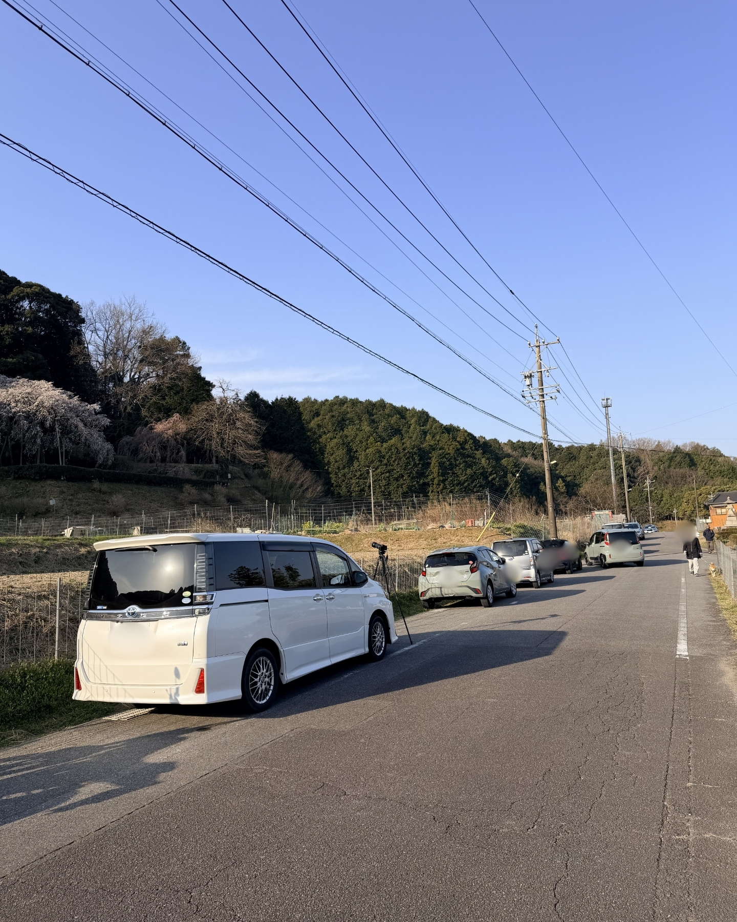 奥山田のしだれ桜(愛知県岡崎市)駐車場・トイレ等