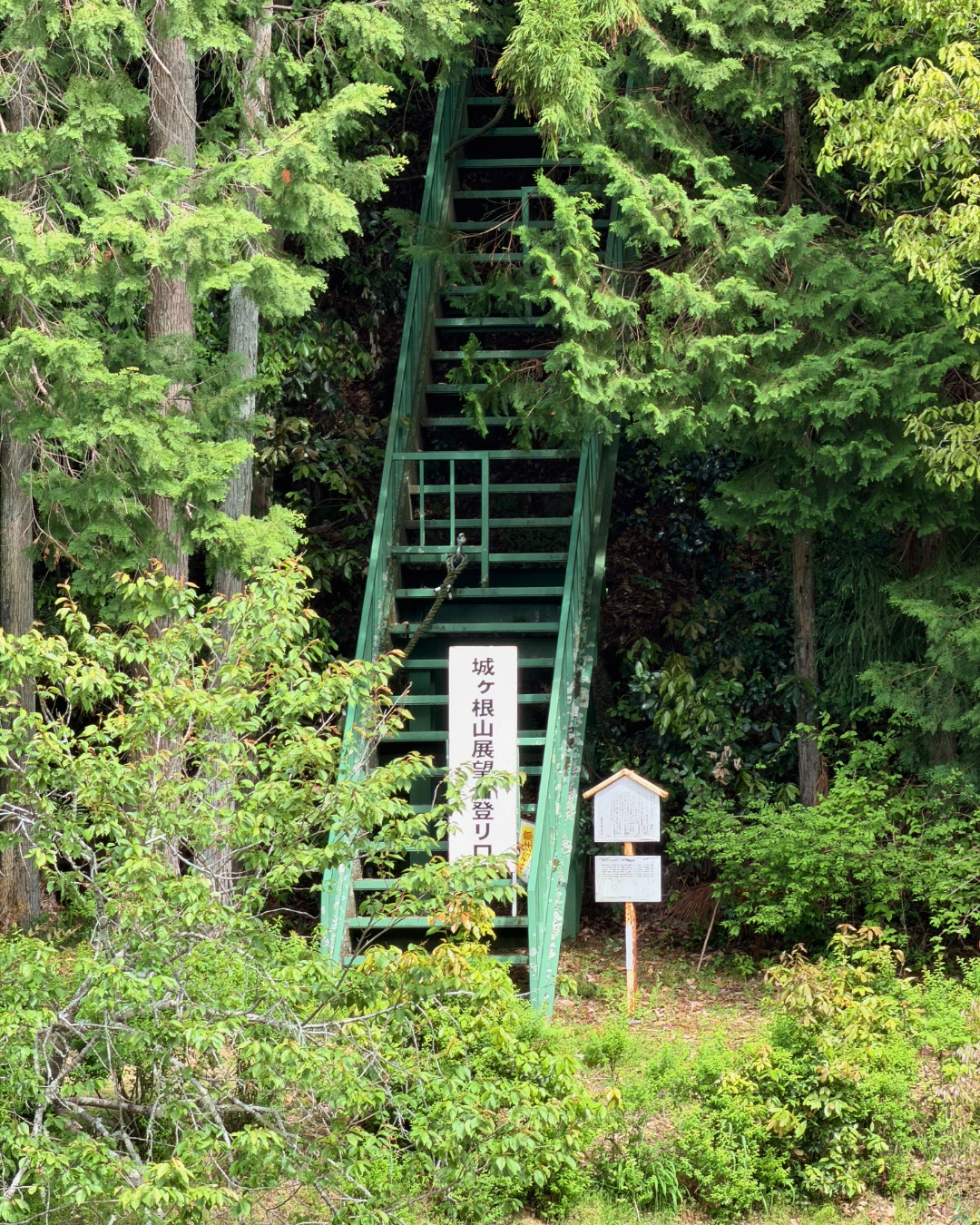 藤の回廊(豊田市)城ケ根展望台からの眺め
