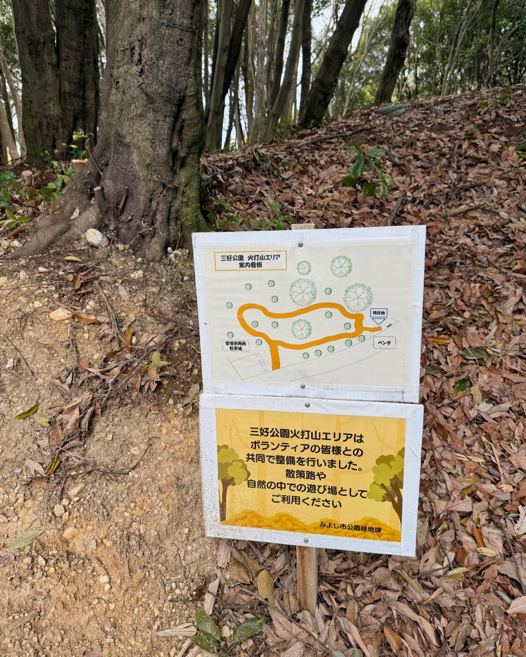 三好公園（みよし市）木の広場の全景
