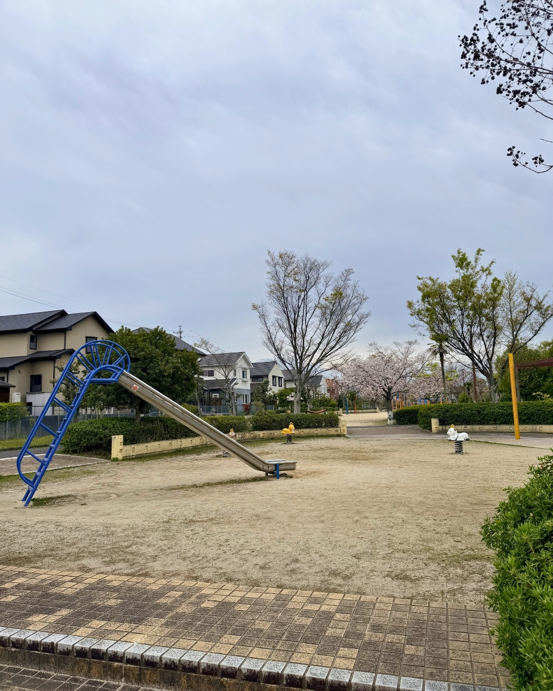 広い芝生広場の引きの写真