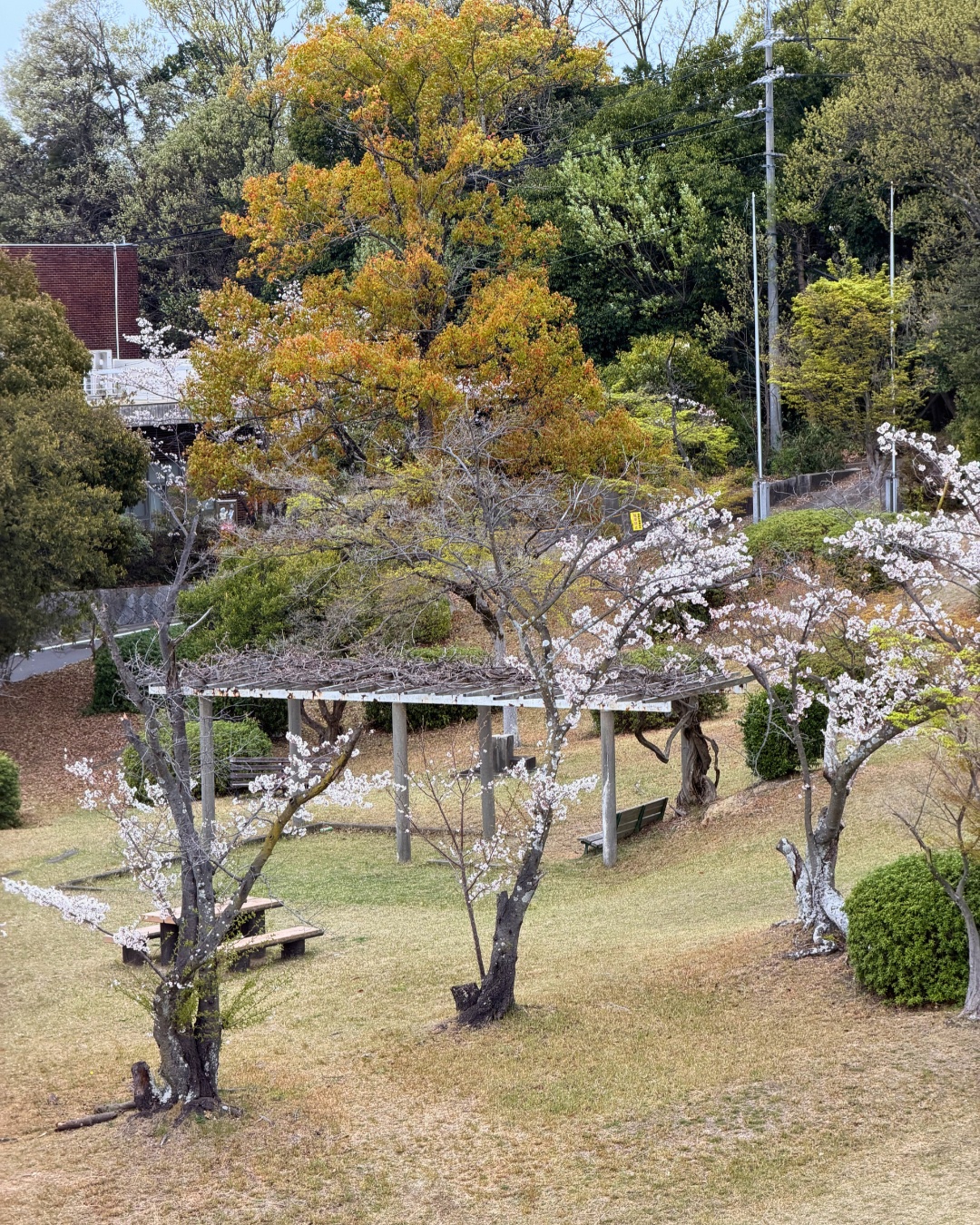 三好公園（みよし市）砂の広場