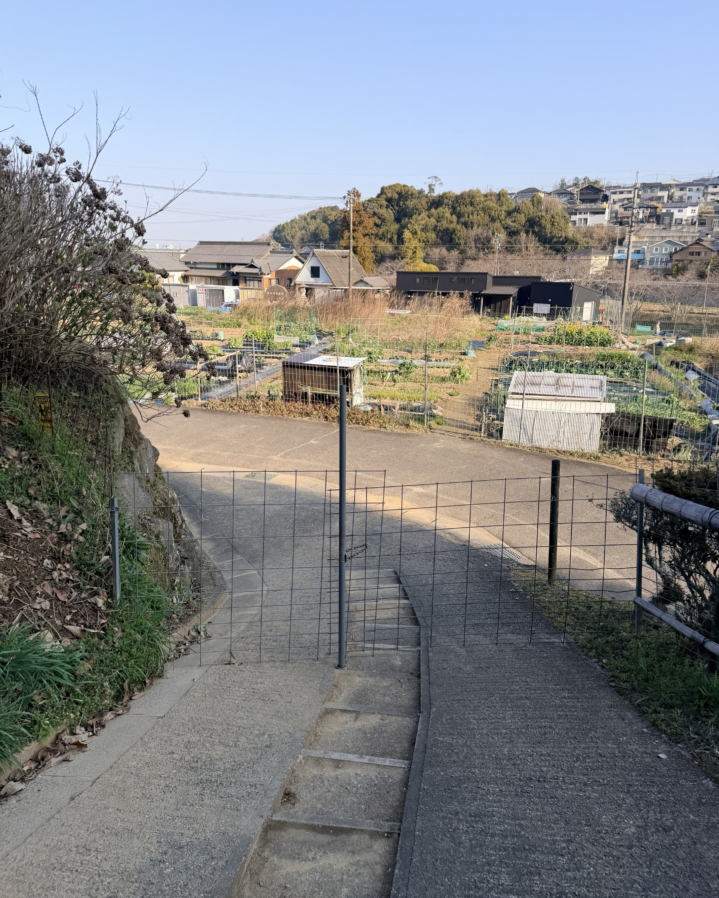 奥山田のしだれ桜(愛知県岡崎市)駐車場・トイレ等