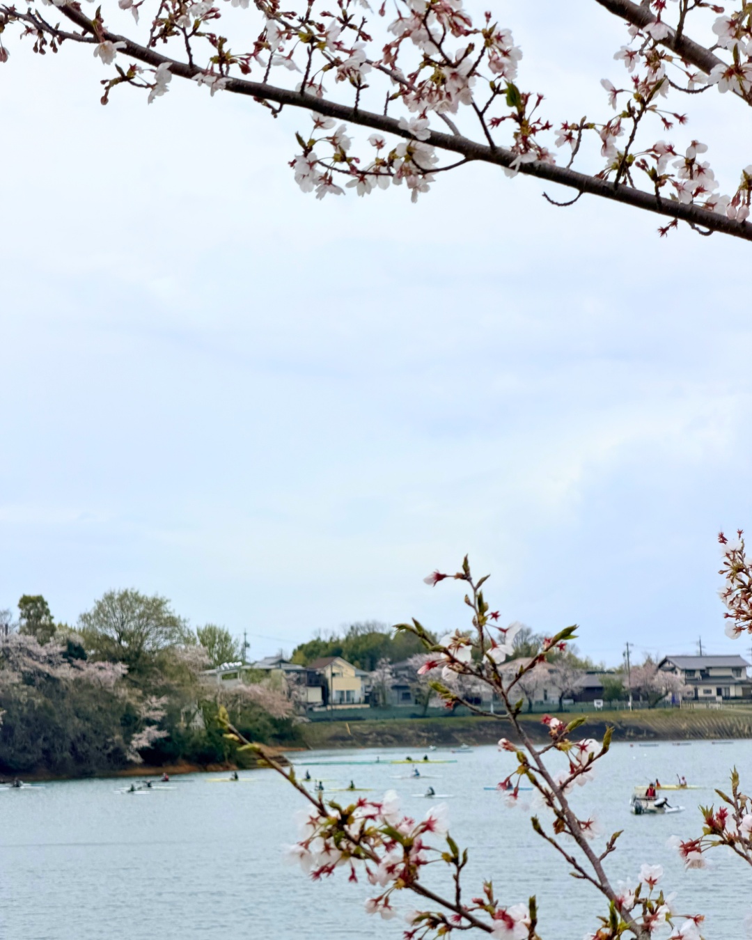 三好公園（みよし市）ダム上から公園全体を俯瞰した眺望