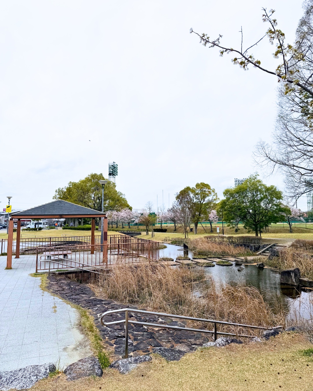 三好公園（みよし市）遊具エリア・春の花