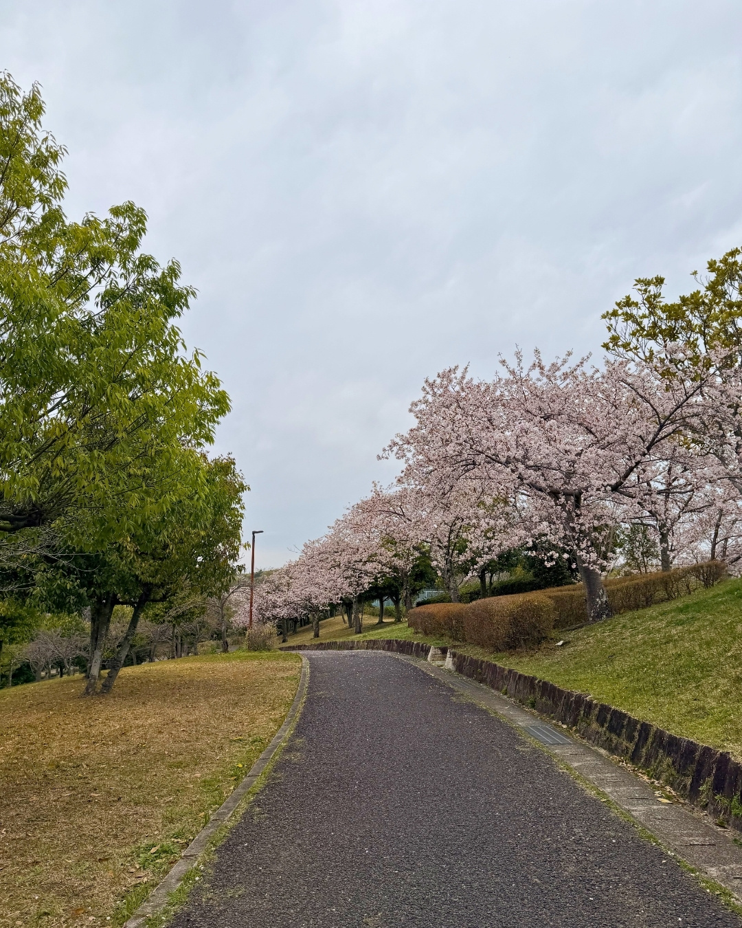 芝生広場で楽しむ人々