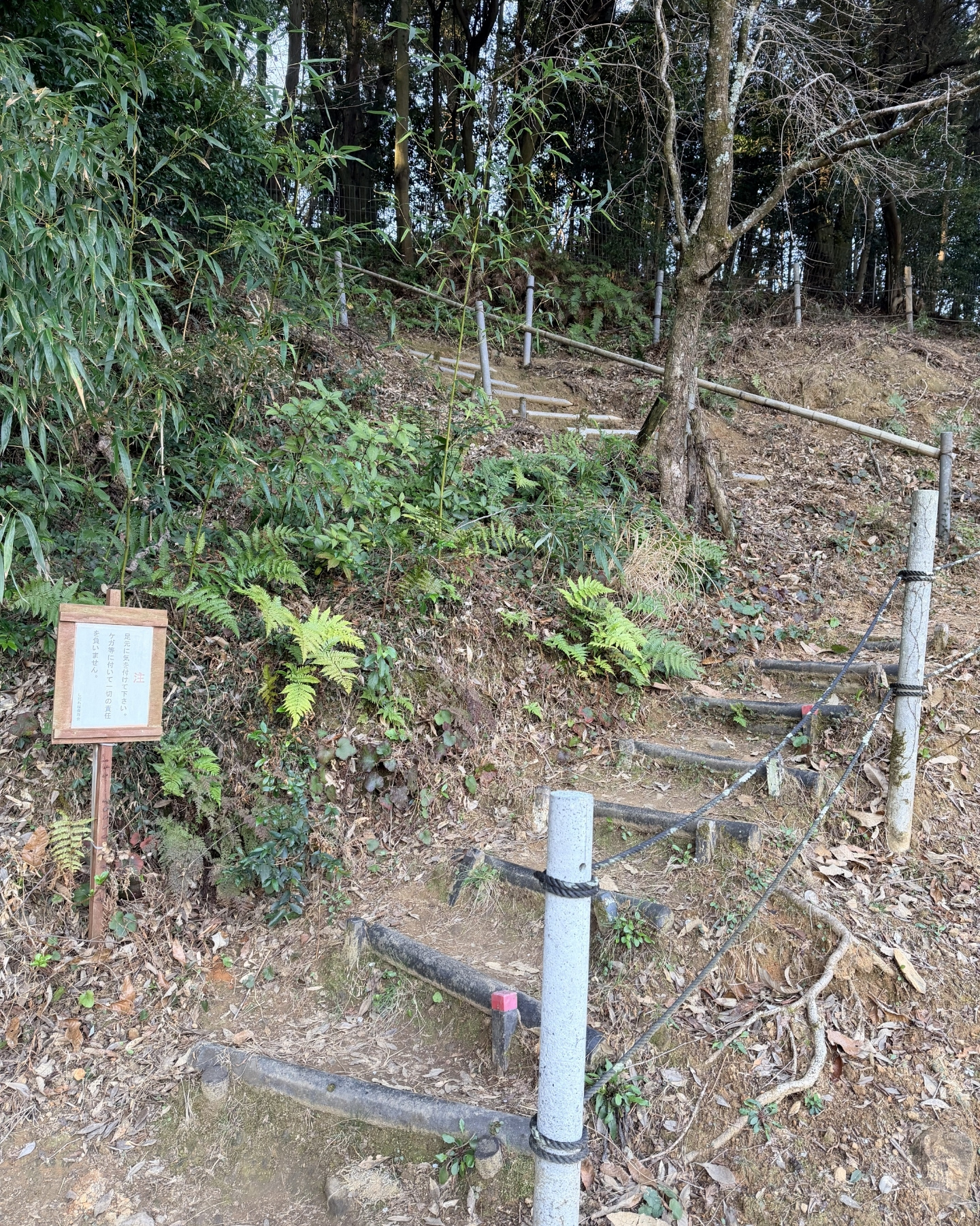 奥山田のしだれ桜(愛知県岡崎市)整備された遊歩道