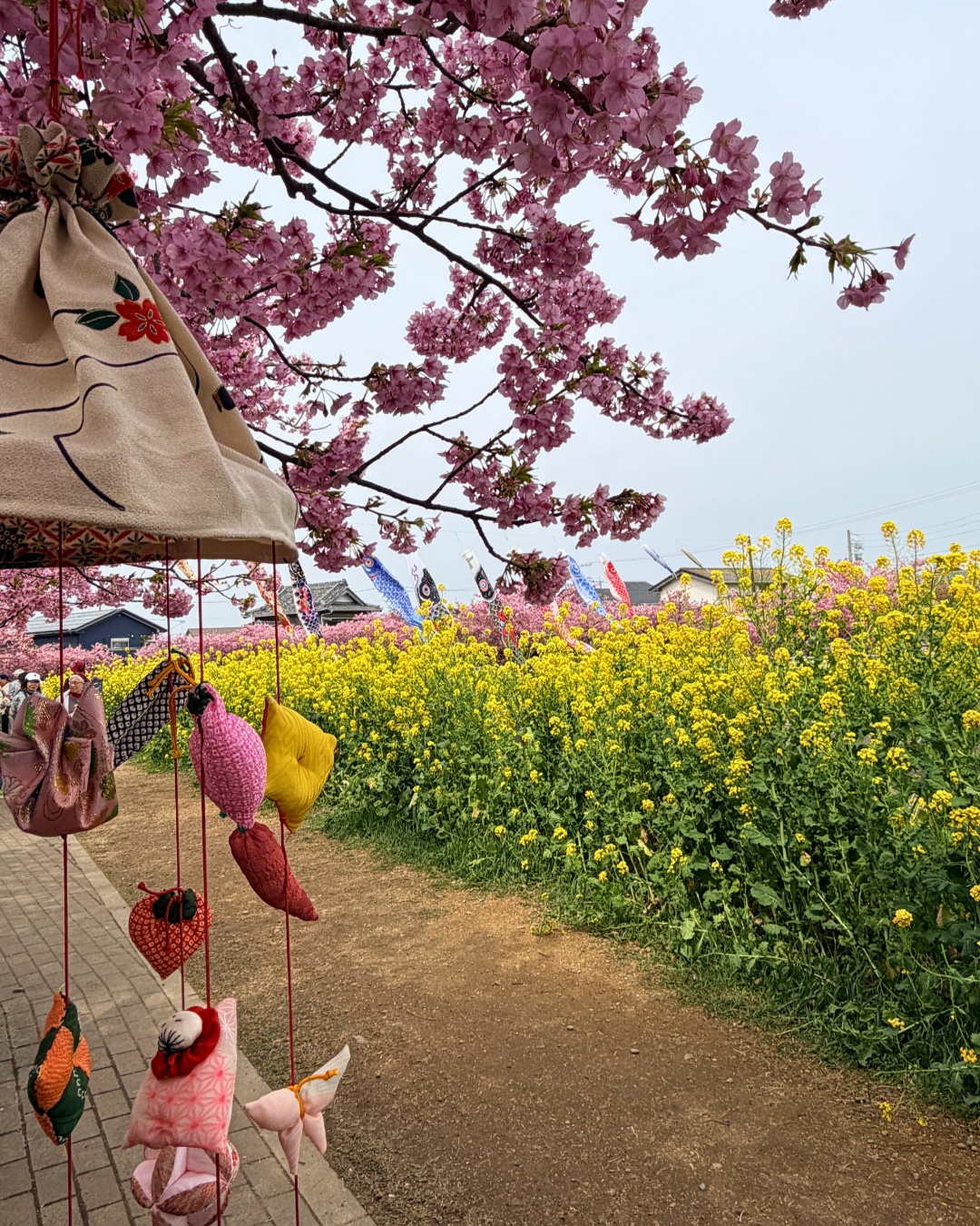 免々田川の鯉のぼり
