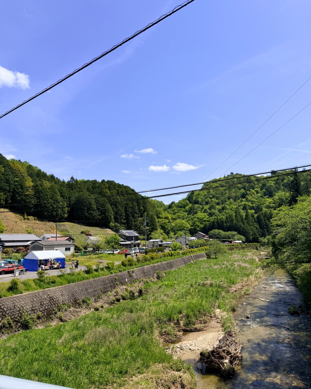 藤の回廊(豊田市)ウォーキングコース