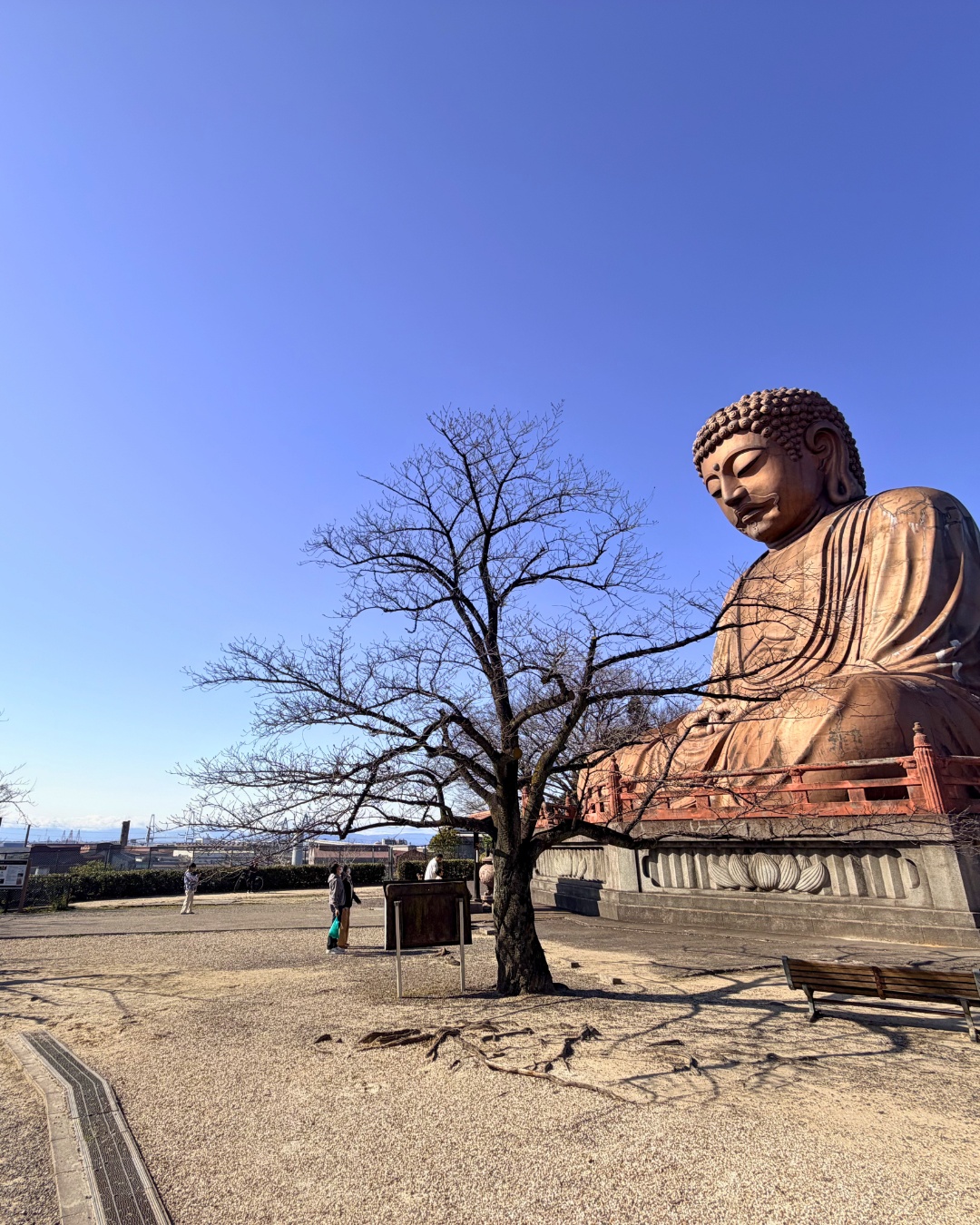 聚楽園公園 聚楽園大仏の全景