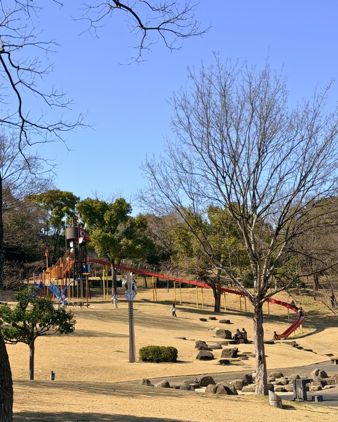 聚楽園公園 芝生広場の全景