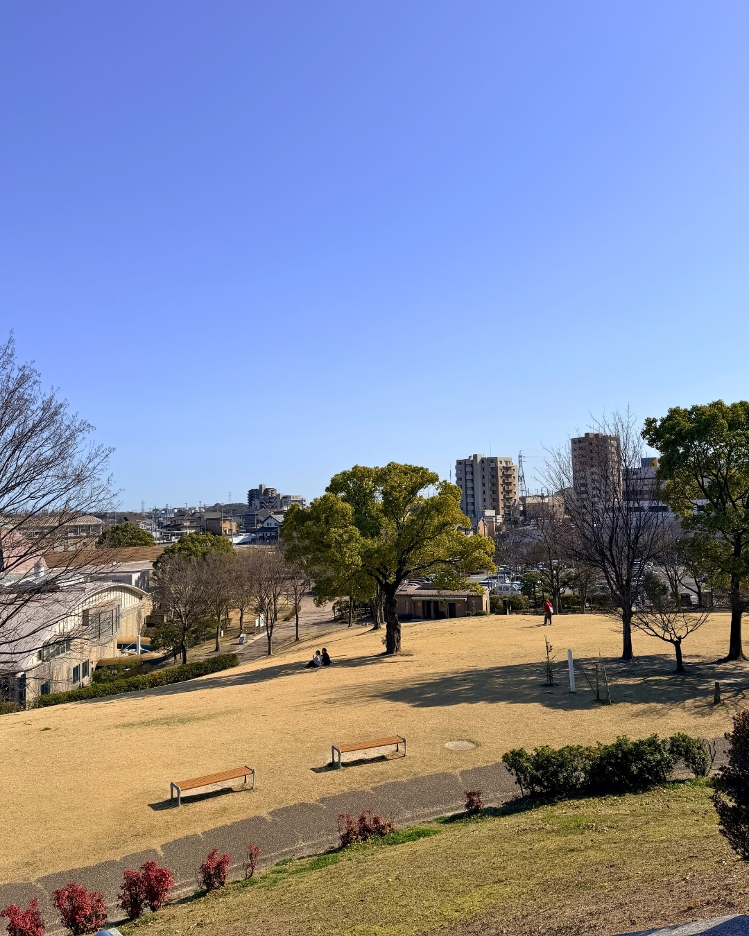 聚楽園公園 ロングスライダー