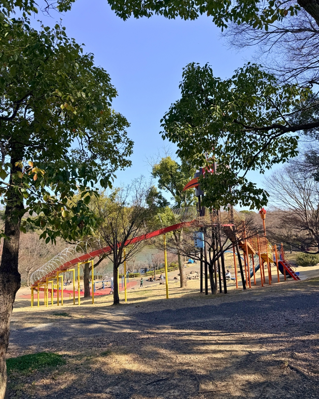 聚楽園公園 遊具と芝生エリア