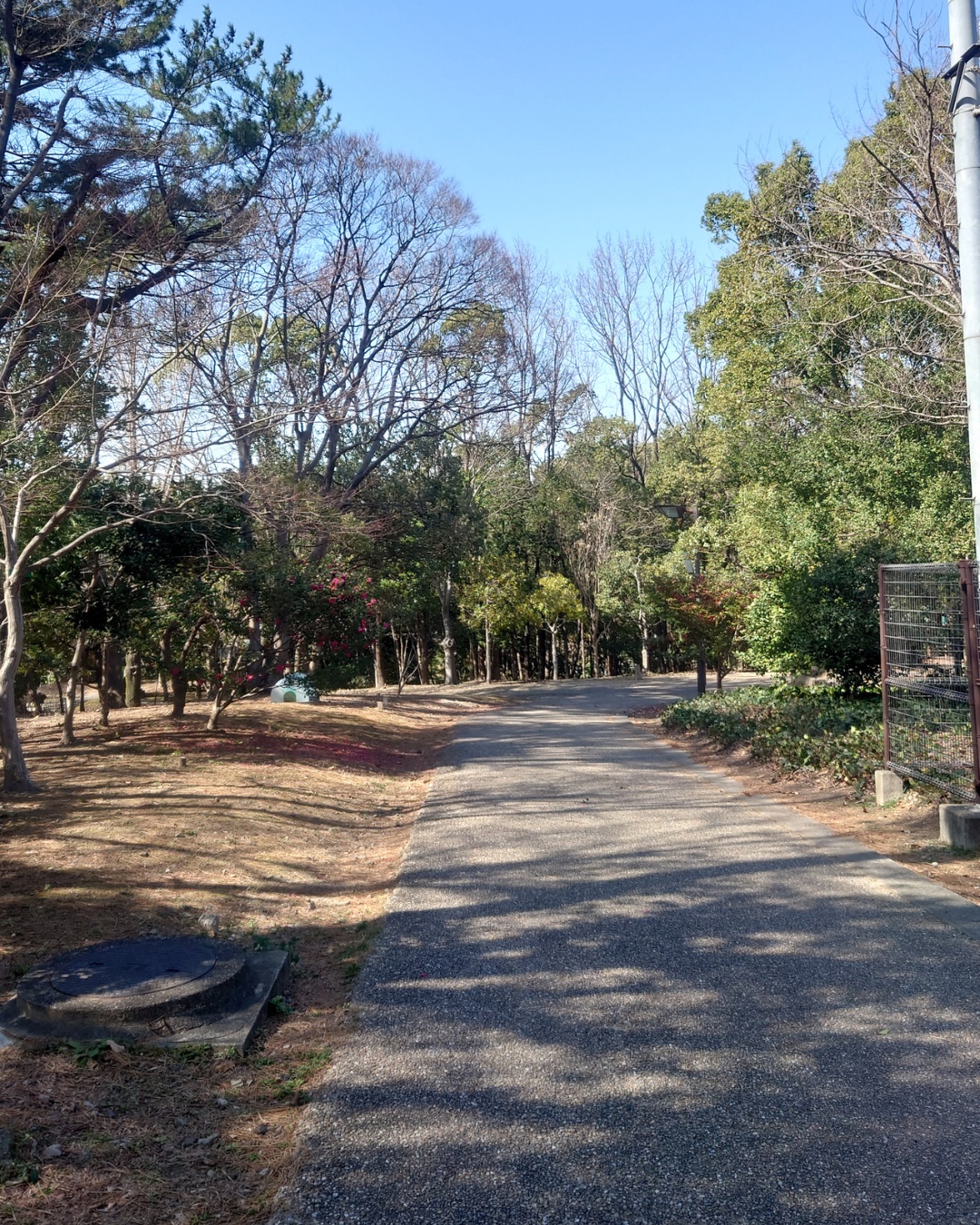 聚楽園公園 ヤカン池の全景