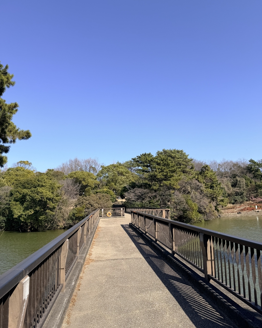 聚楽園公園 ヤカン池の畔の景観