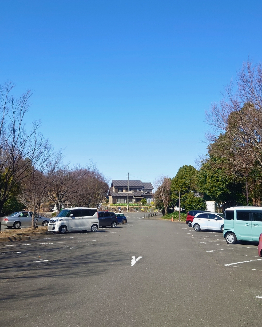聚楽園公園 無料駐車場