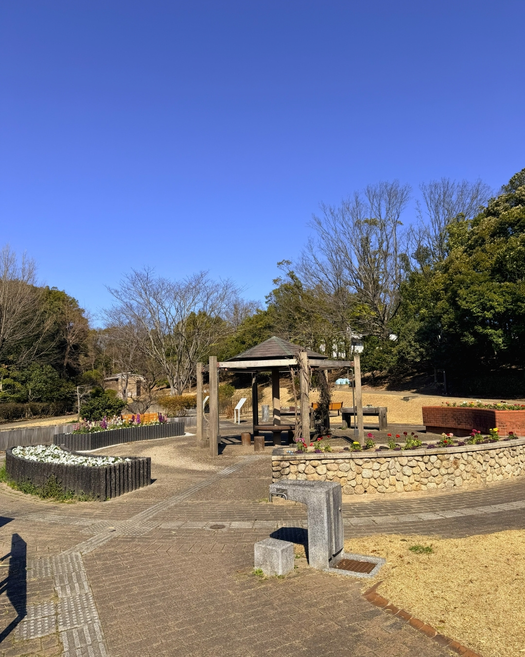 聚楽園公園 ふれあいガーデンの花壇
