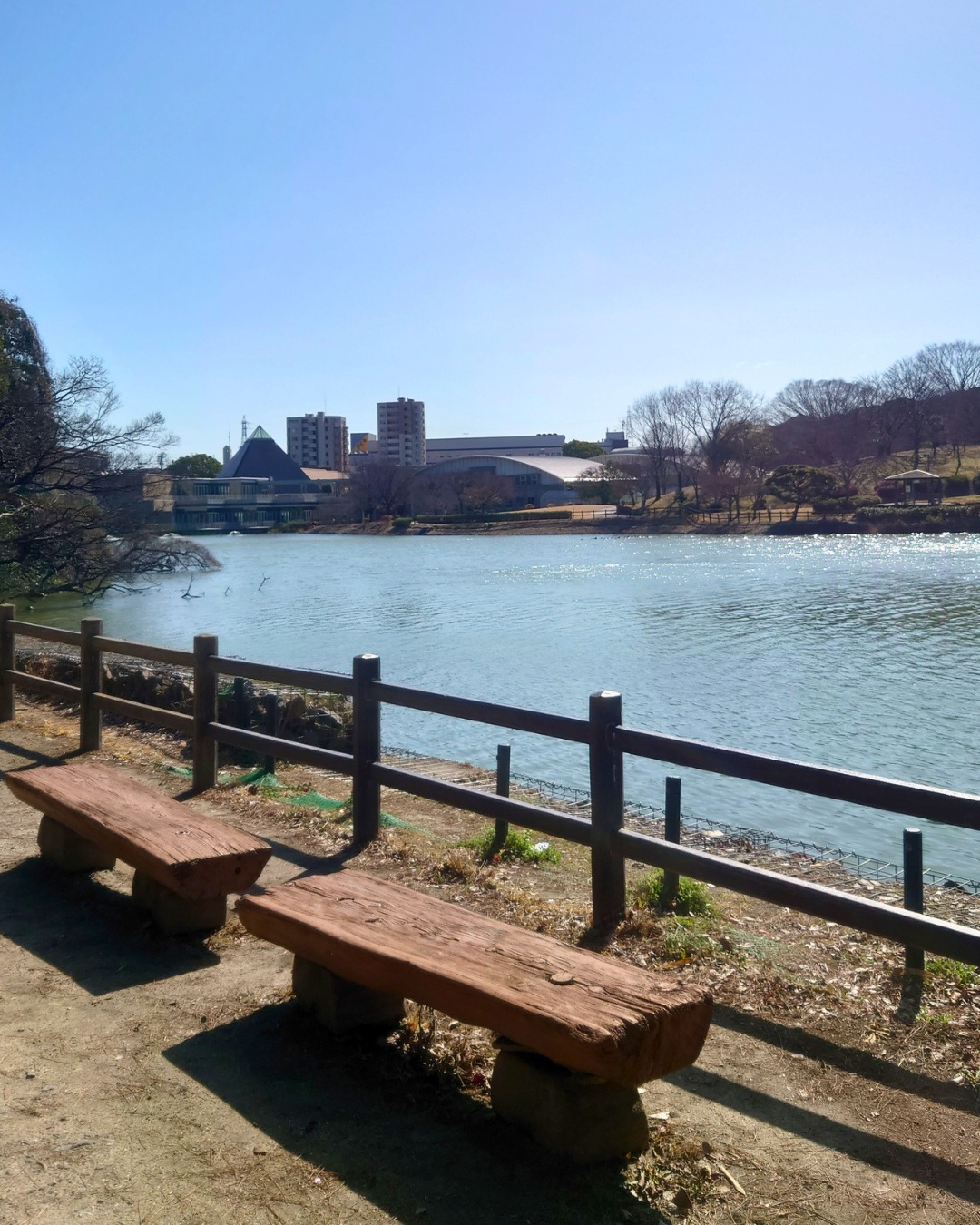 聚楽園公園 ハーブ園のハーブクローズアップ
