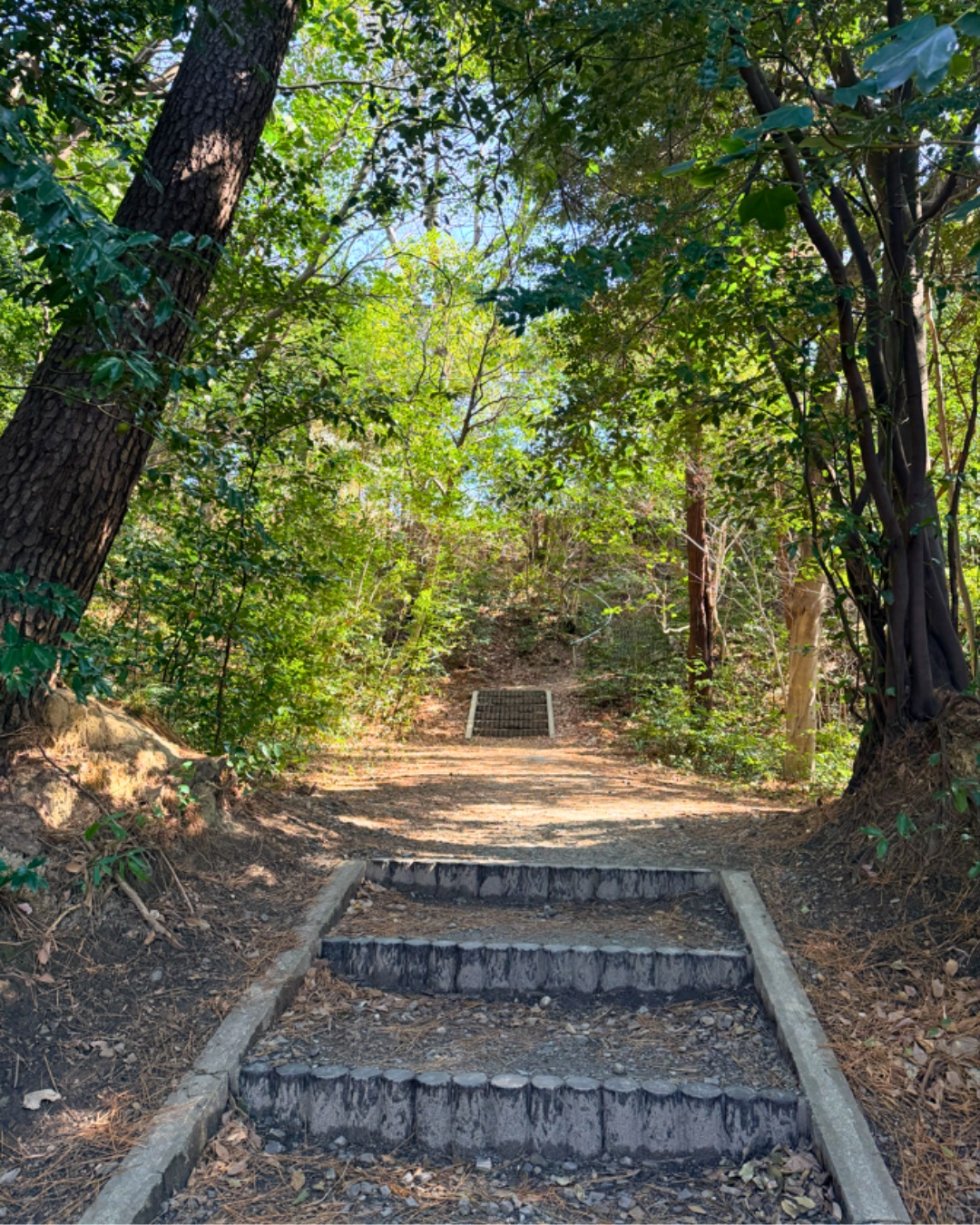聚楽園公園 ハーブ園のベンチと階段