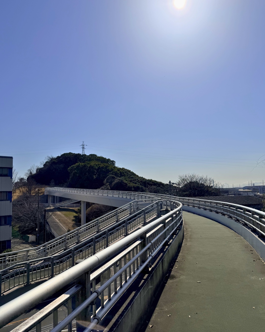 聚楽園公園 アピタへ続く歩道橋