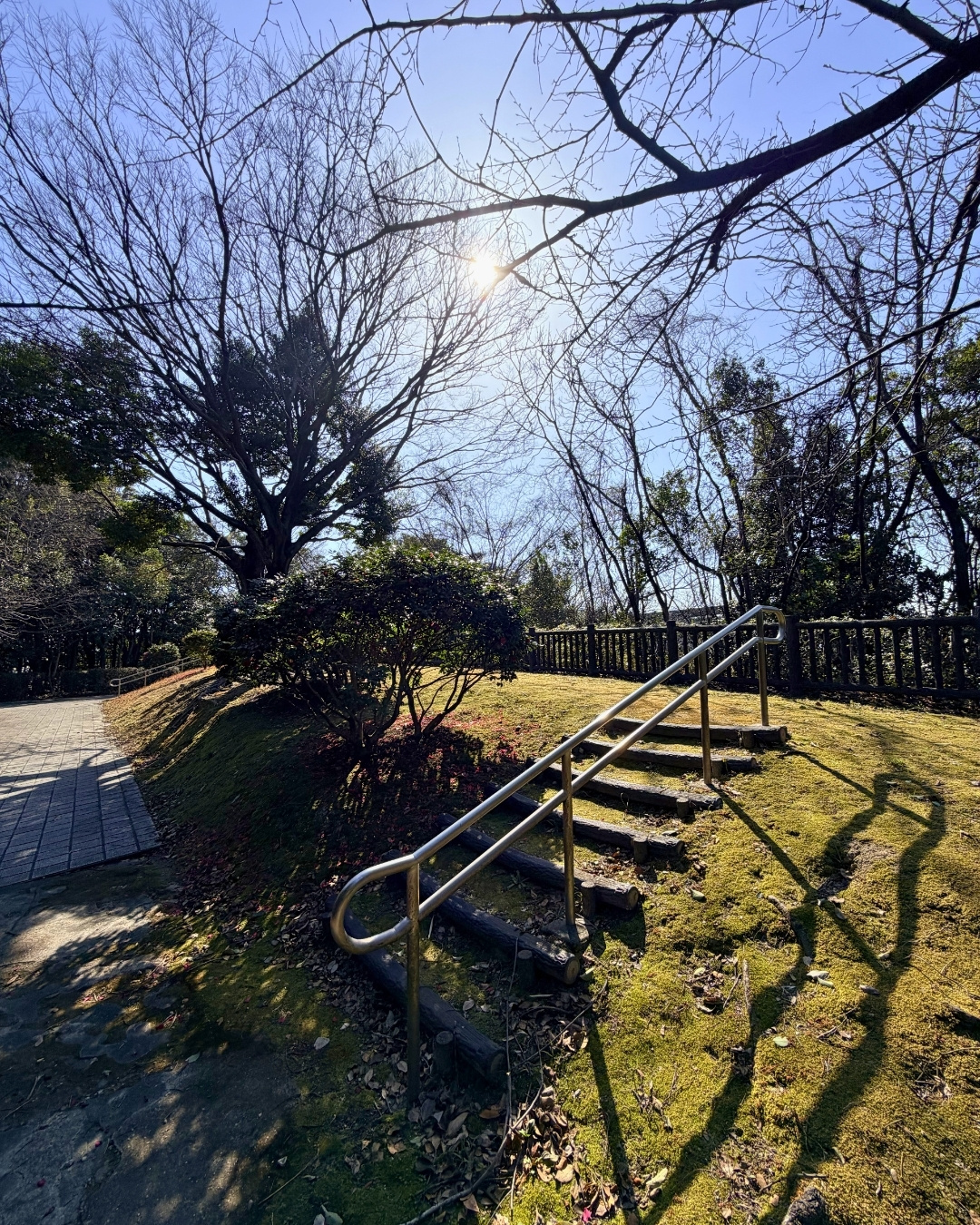 聚楽園公園 弘法の丘の登り口