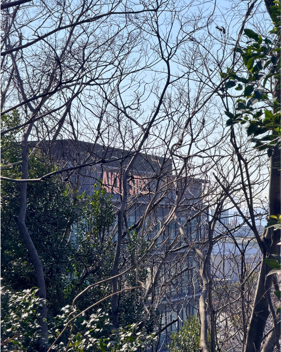 聚楽園公園 弘法の丘の頂上付近