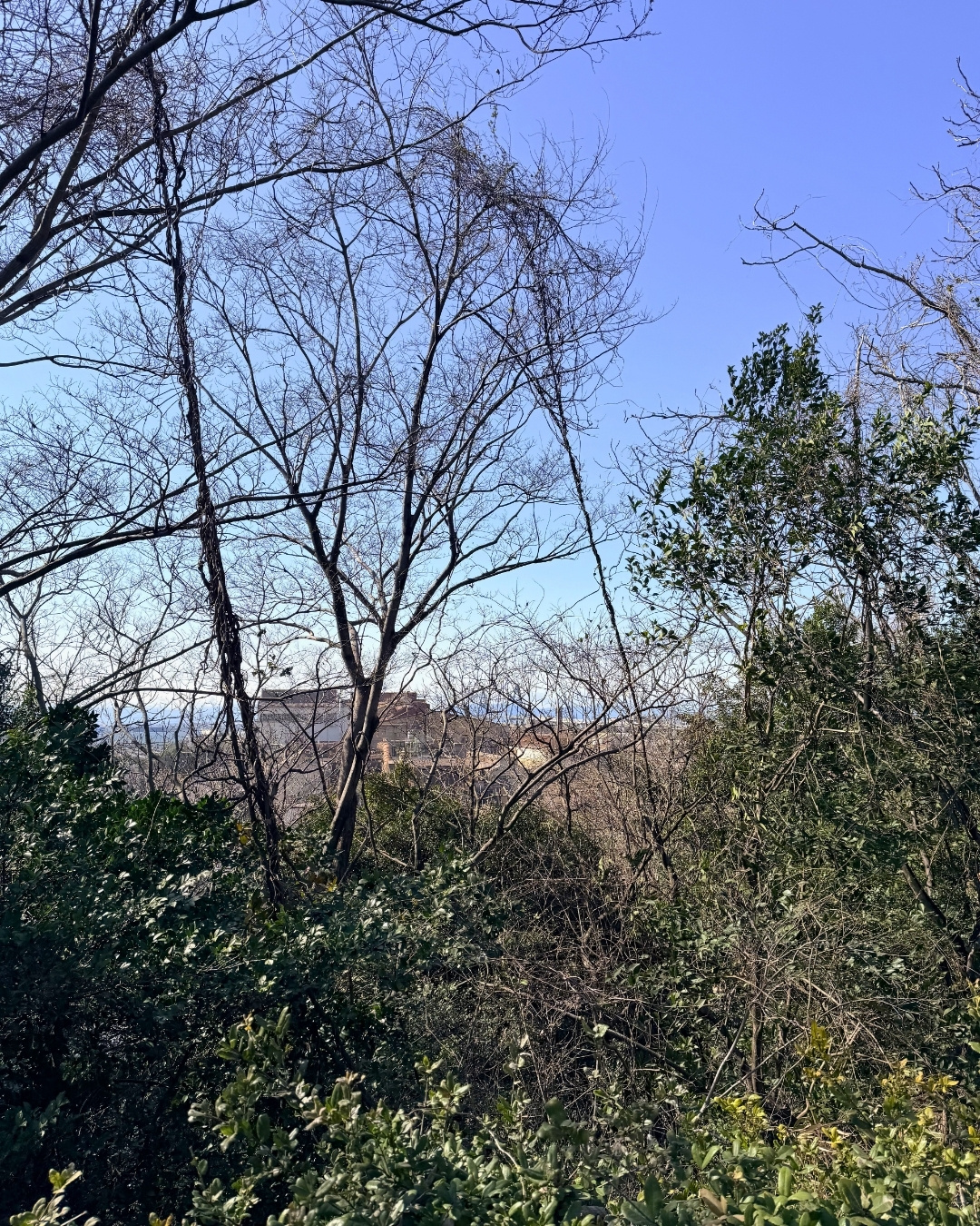 聚楽園公園 弘法の丘からの眺望