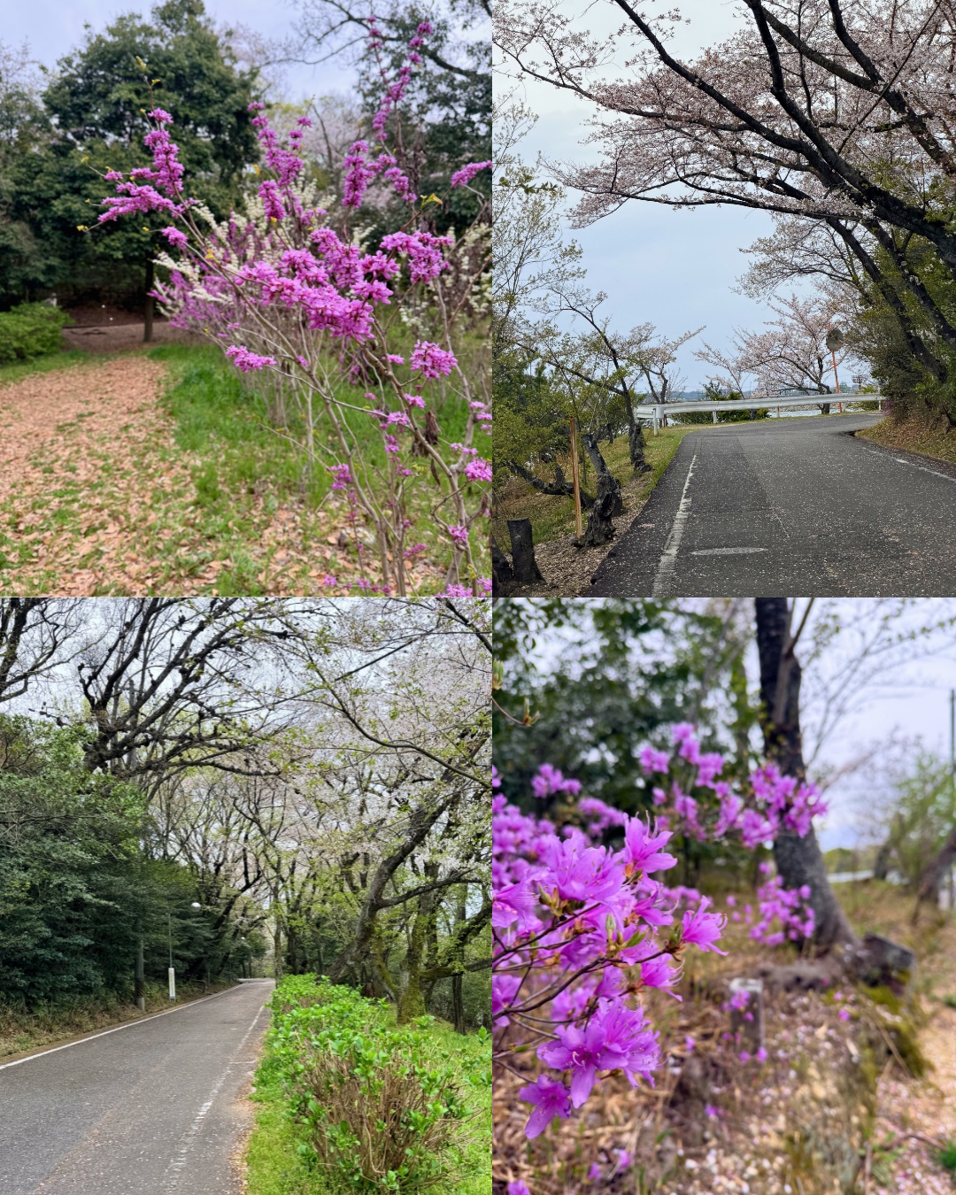 三好公園（みよし市）ダム上から公園全体を見下ろす眺望