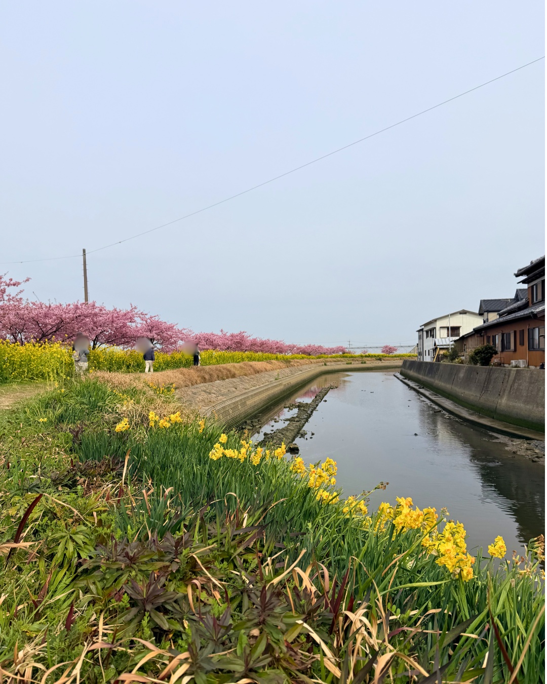 免々田川の土手から奥行きのある構図
