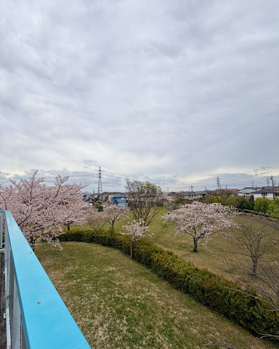 展望台から見渡す芝生広場と多目的広場