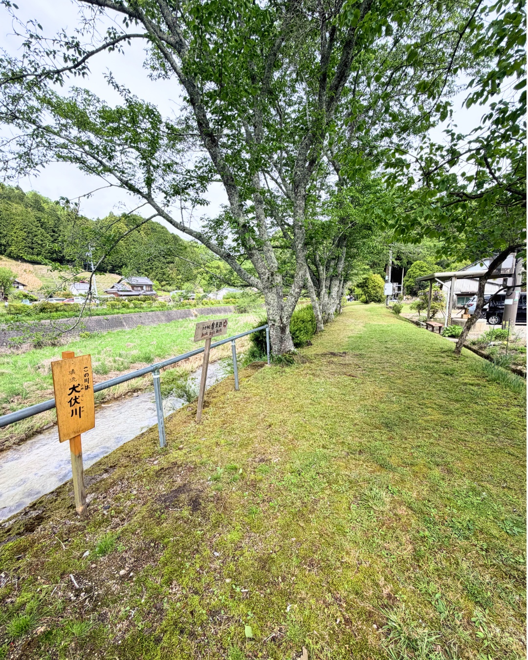 藤の回廊(豊田市)八柱神社の鳥居