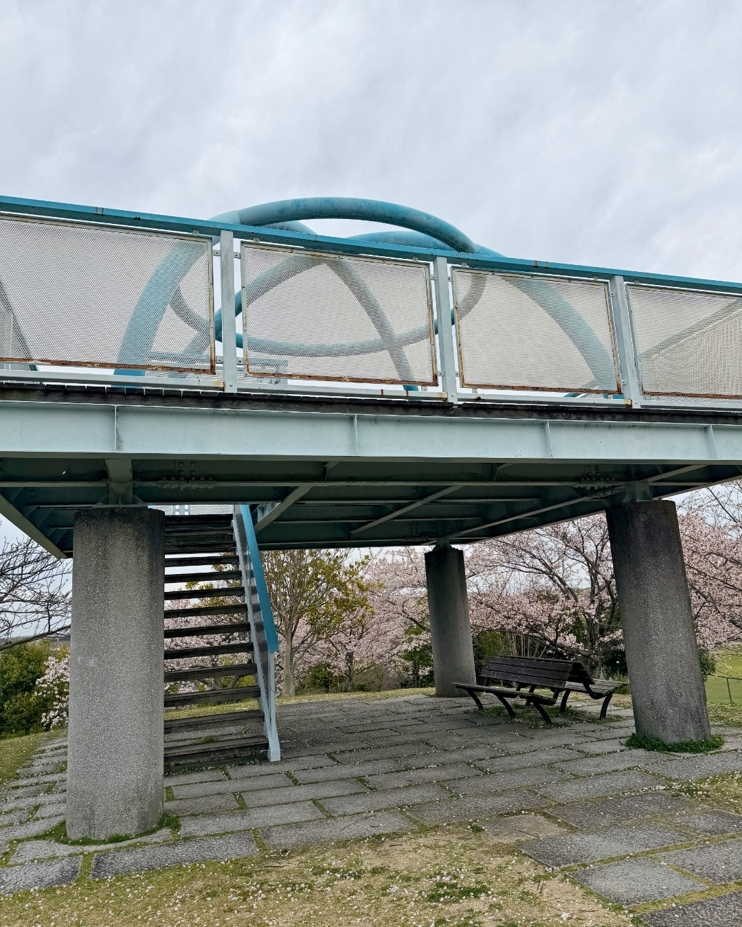展望台の正面