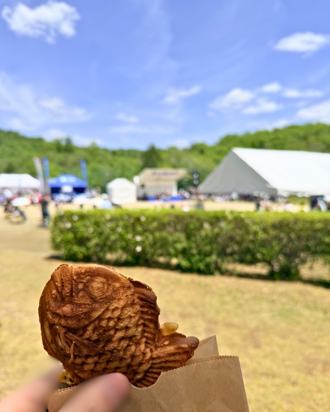 藤の回廊(豊田市)ふうちゃん焼き