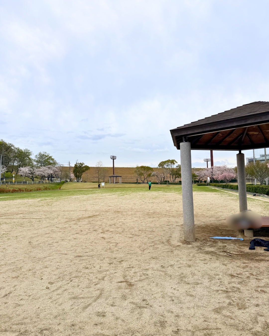 三好公園（みよし市）広い芝生広場