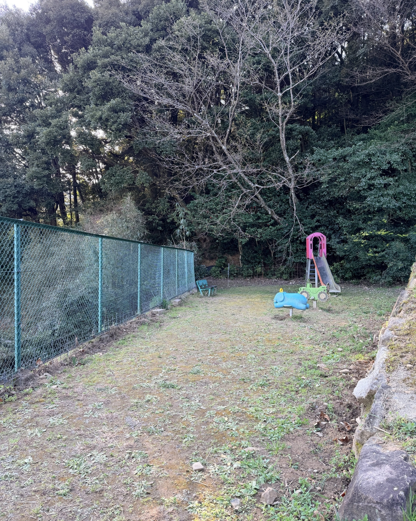 奥山田のしだれ桜(愛知県岡崎市)駐車場・トイレ等
