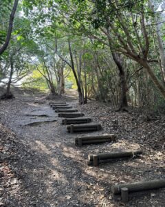 蔵王山展望台 ハイキングコース