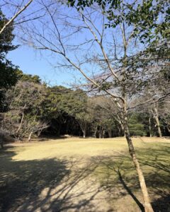 蔵王山展望台 芝生広場・トイレ