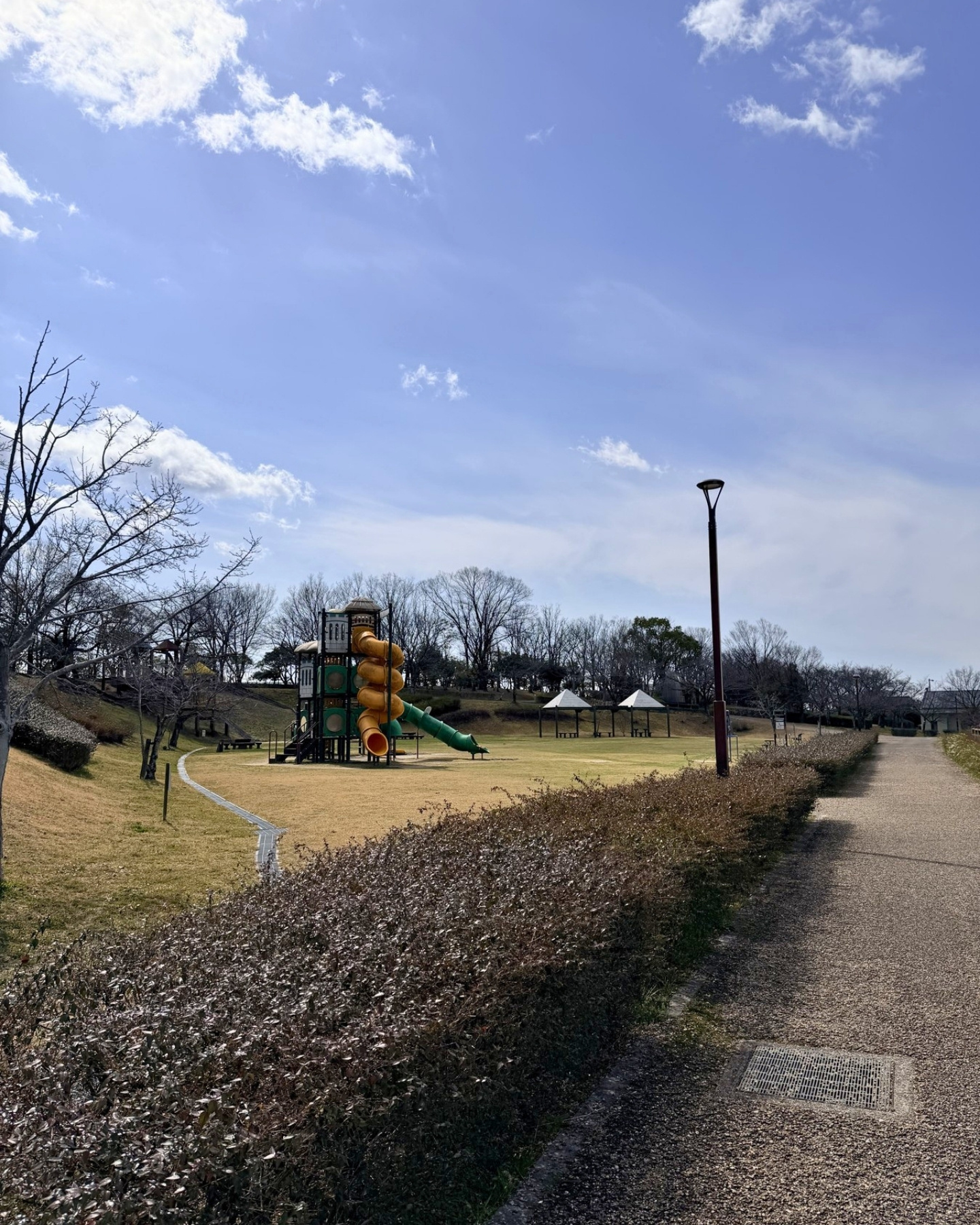 細口公園 芝生広場と遊具で休憩