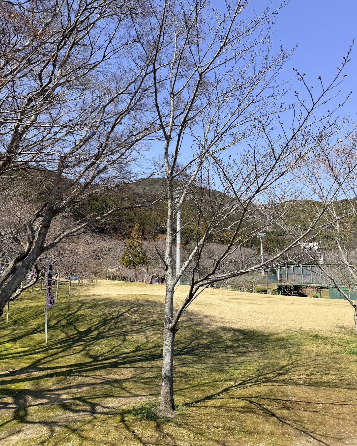 アドベンチャー広場の赤い滑り台
