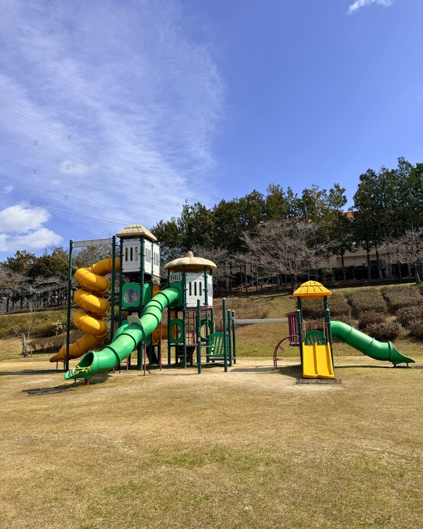 細口公園 広い芝生広場ときれいな遊具