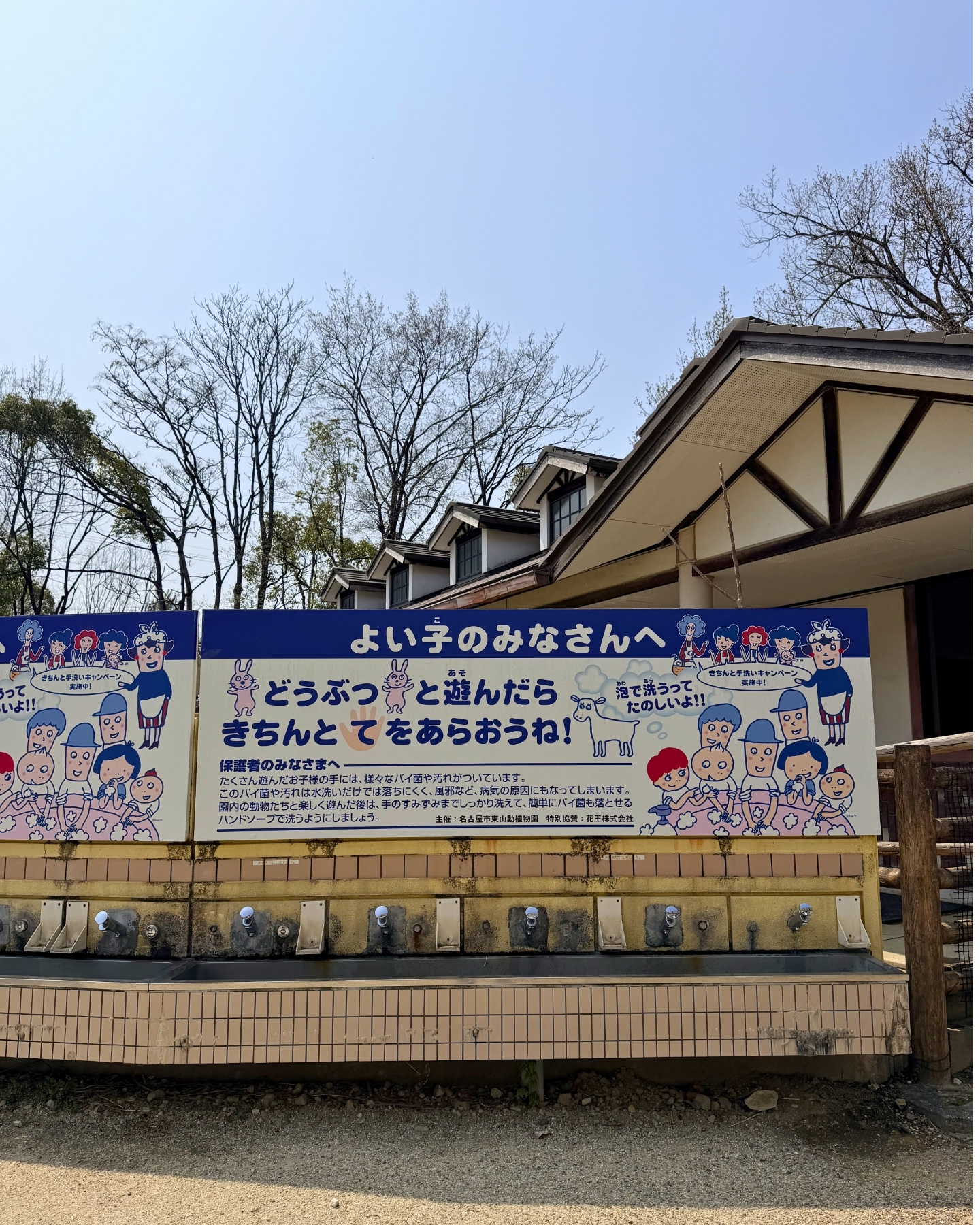 東山動植物園 ふれあい広場のアルパカ
